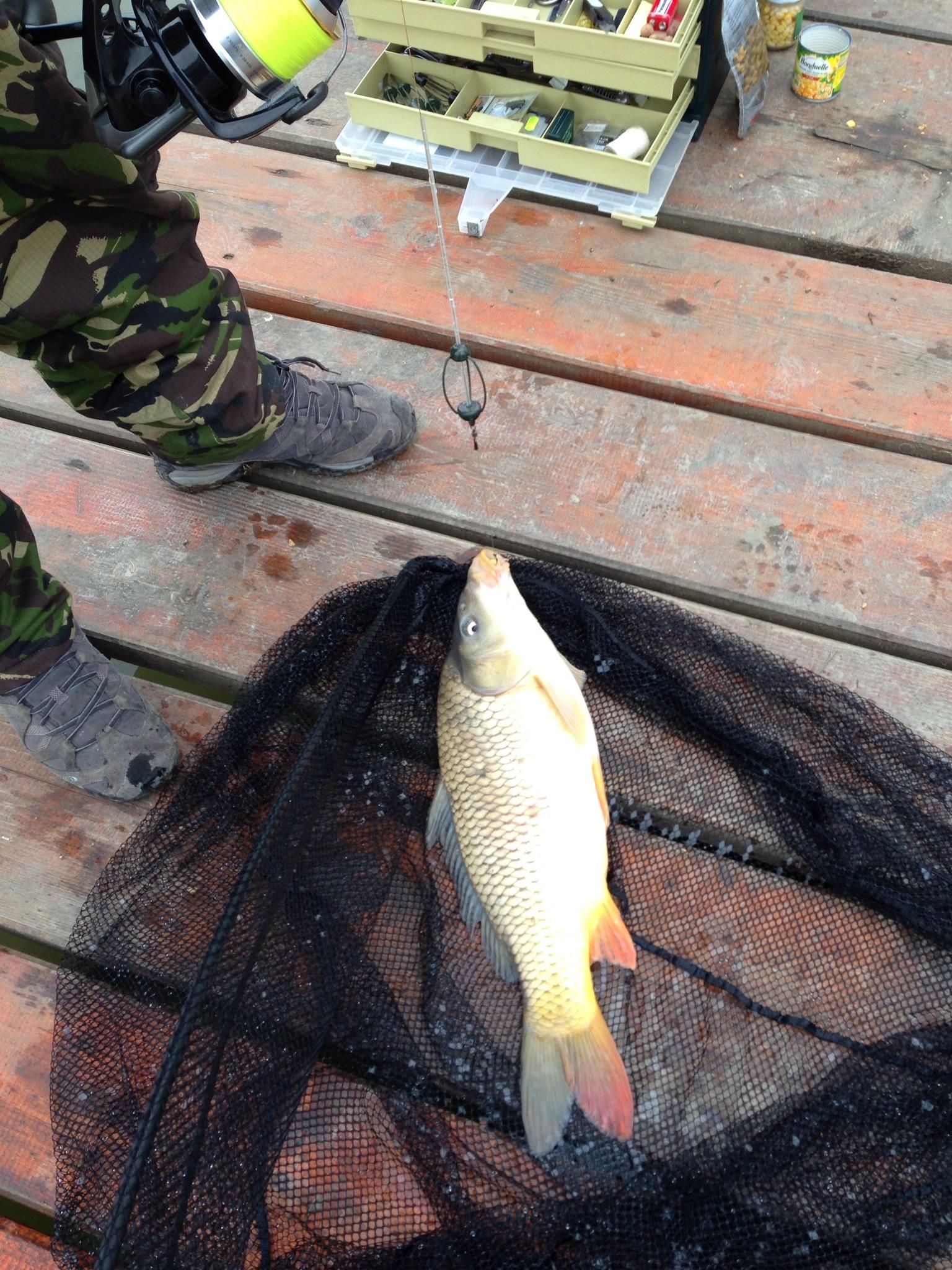 Pleasa - image11111111111.jpg